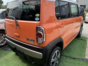 552772764_1370781524896819_9133594695198401473_n