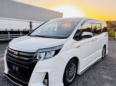 554979659_2012000409556746_8424540690182453993_n-1