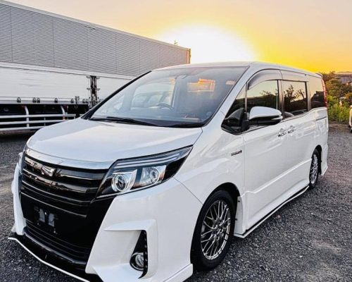 554979659_2012000409556746_8424540690182453993_n-1