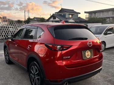 556061125_1586063442700246_6449103605204505677_n