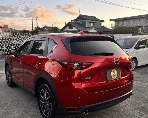 556061125_1586063442700246_6449103605204505677_n