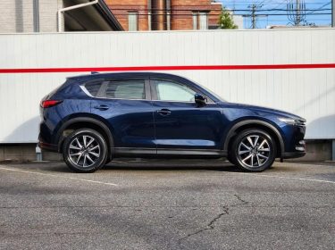 556528608_1224014003201520_6347124177008995466_n