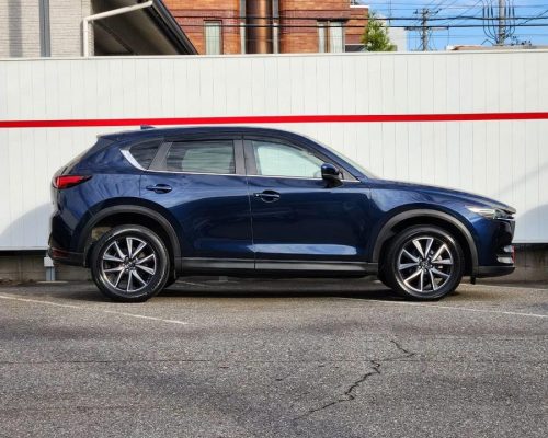 556528608_1224014003201520_6347124177008995466_n