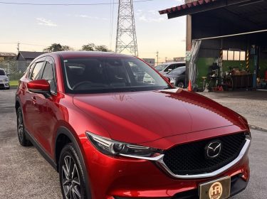 556659052_1586063436033580_3503938368052631873_n-1