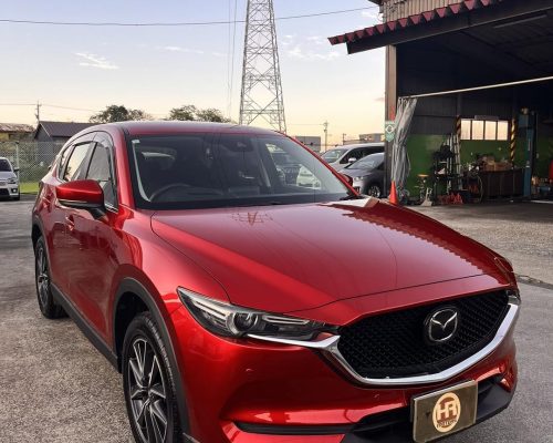 556659052_1586063436033580_3503938368052631873_n-1