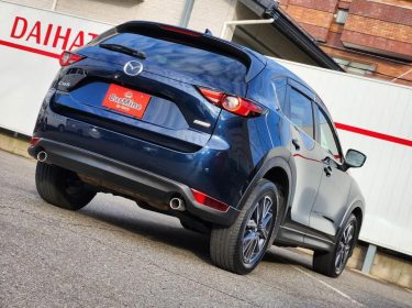 557633783_1224013949868192_4031063162568836715_n