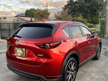 557636900_1586063532700237_1733275209469120397_n