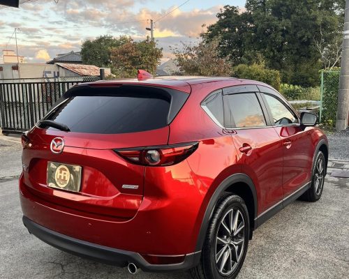 557636900_1586063532700237_1733275209469120397_n