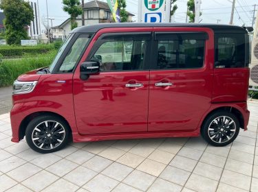 558226768_1262930515636486_6222845994279376299_n