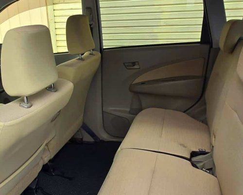 558290423_783323474592397_5050316432375756633_n