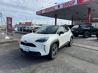 558515944_1426486902811267_4429446046377443541_n-1