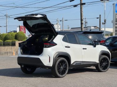 558882196_1227582662844654_4604272110720303377_n