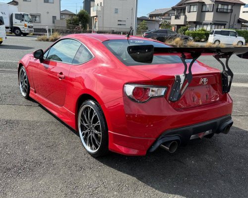 559916423_1430868975706393_9211678176951058022_n