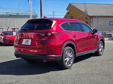 565110921_1271903021405902_6230475857285215184_n