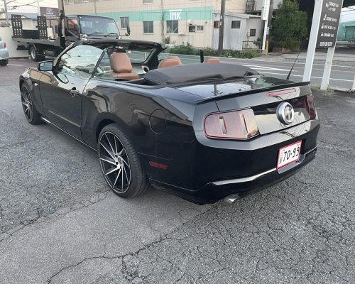 573301062_1362222855828125_5658543070164106223_n