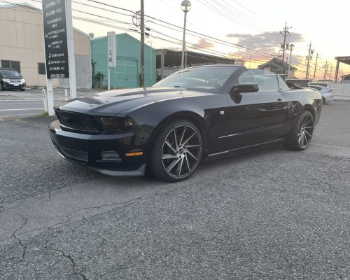 573301124_1362222789161465_8653305898848162710_n