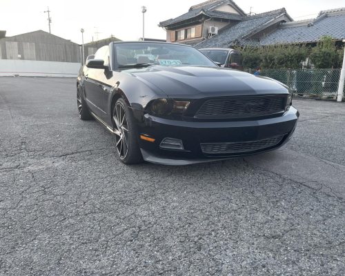 575097910_1362222809161463_6482502766483117798_n