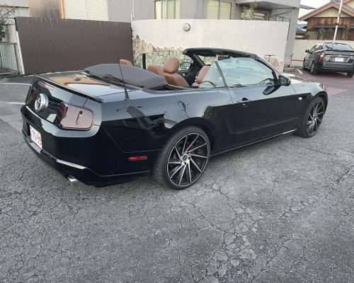 576392063_1362222832494794_7182163575632486999_n