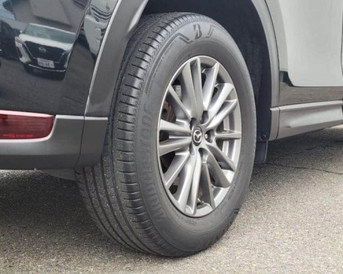 586214699_1266084048994515_1052558045328006120_n