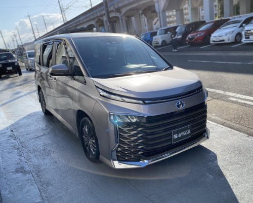 591730449_1185089760383238_1037687250011575876_n