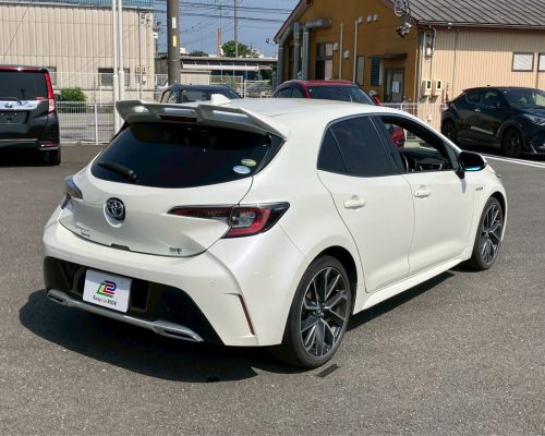 591744594_1314068843855986_1342816919099286070_n