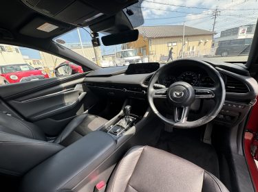 592915278_1311976744065196_4268014473921659779_n