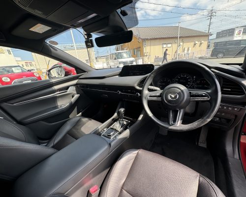 592915278_1311976744065196_4268014473921659779_n