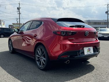 594051176_1311976877398516_8799514228878900038_n