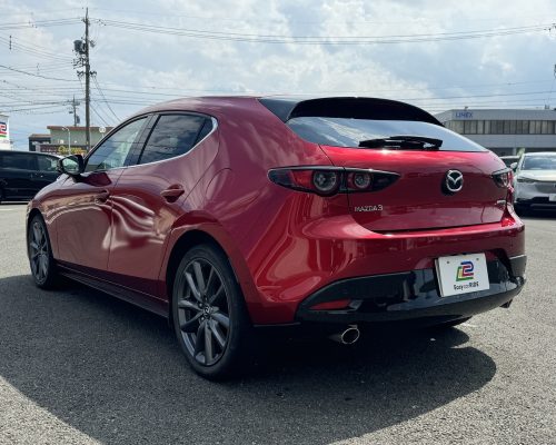 594051176_1311976877398516_8799514228878900038_n