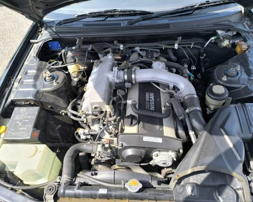 594582857_1312031194059751_2675083363653519064_n