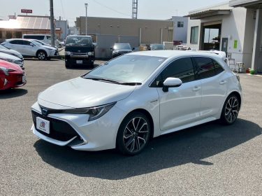 594652906_1314068930522644_4303608572770853707_n