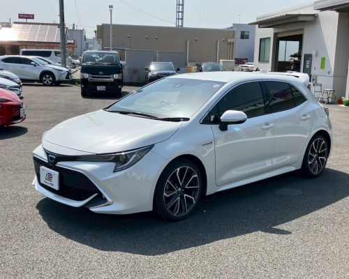 594652906_1314068930522644_4303608572770853707_n