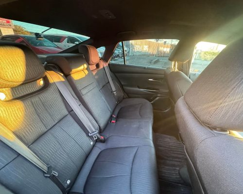 594970568_1480695860723704_6107973789357181357_n