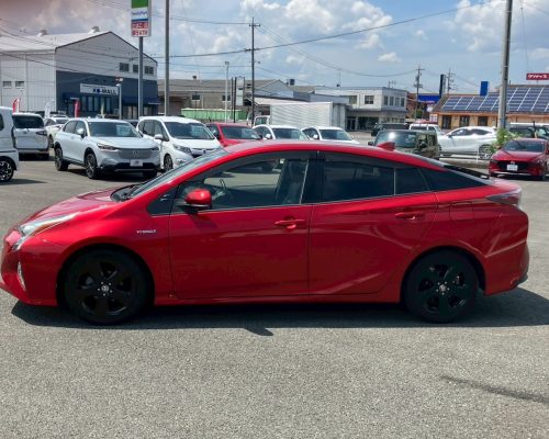 595204345_1314162203846650_308721430588791641_n