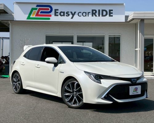 597006814_1314068790522658_6654485545528914322_n-1