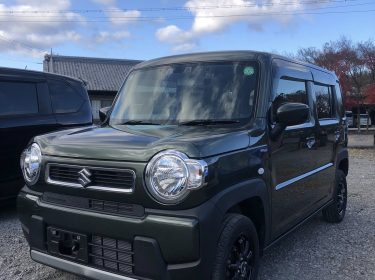 597389706_122287725188030563_2574461115777881341_n-1