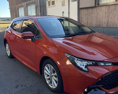 600365044_2080691962687590_6447768314242811590_n-1