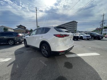 600476339_1354543633141840_964533022507012266_n