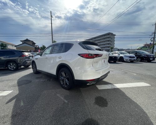 600476339_1354543633141840_964533022507012266_n