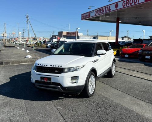 613193944_1512759414184015_6435193406120704980_n