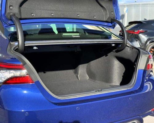 613556699_1302977815305138_5294225268866289083_n