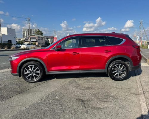 616781619_1520076960118927_9030916510368637748_n