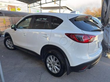 617472444_1725021128935488_5523720492448909068_n