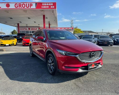 619393134_1520076770118946_5936871209269421405_n