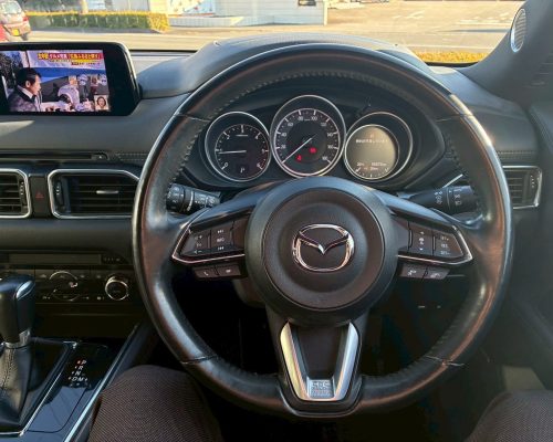 619680494_1352062556723281_2851001253334338887_n