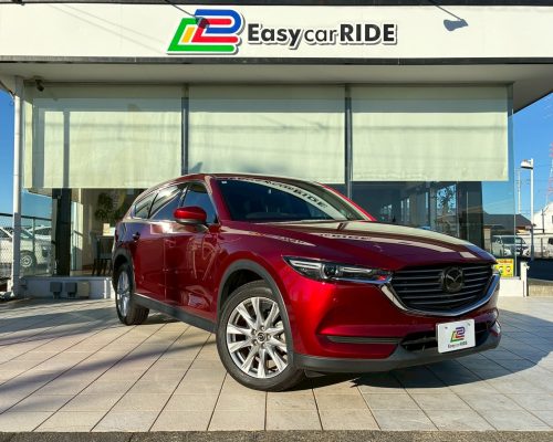 619956970_1352061816723355_9188104233469126068_n-1