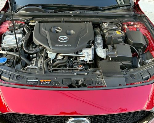 623369705_1354607059802164_2722785965985209057_n