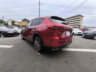 627394939_1360255842570619_8680127973123608633_n