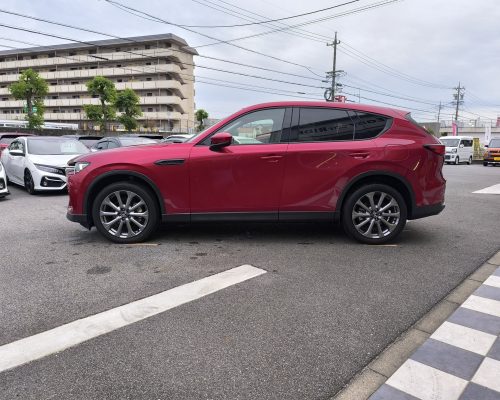 627400547_1360255915903945_8413318745347096433_n