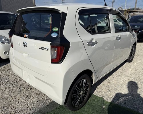 646395411_1513786567262980_6057103945895848582_n